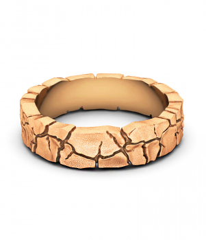 Тематическое кольцо "Земля" (Мод. 519)